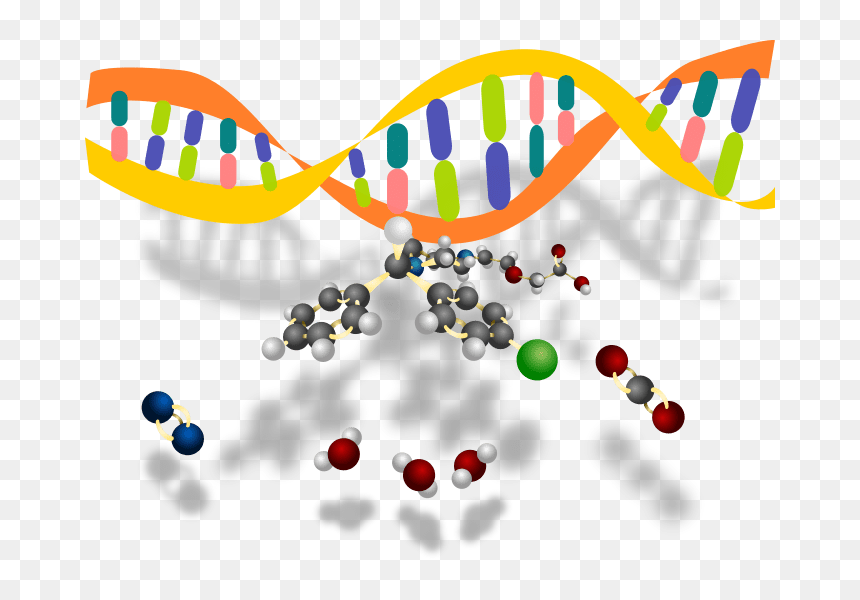 Clip Art, HD Png Download - molecules png
