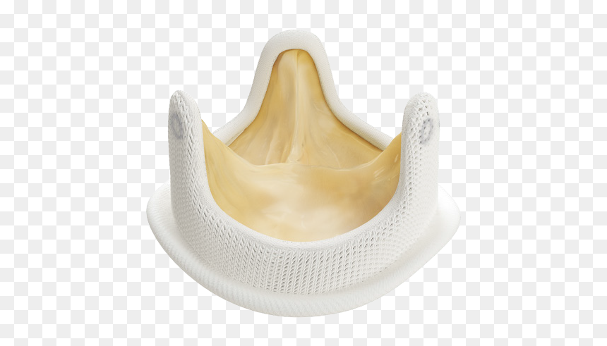 Tooth, HD Png Download - medtronic logo png