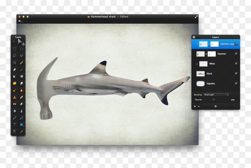 Squaliformes, HD Png Download - hammerhead shark png