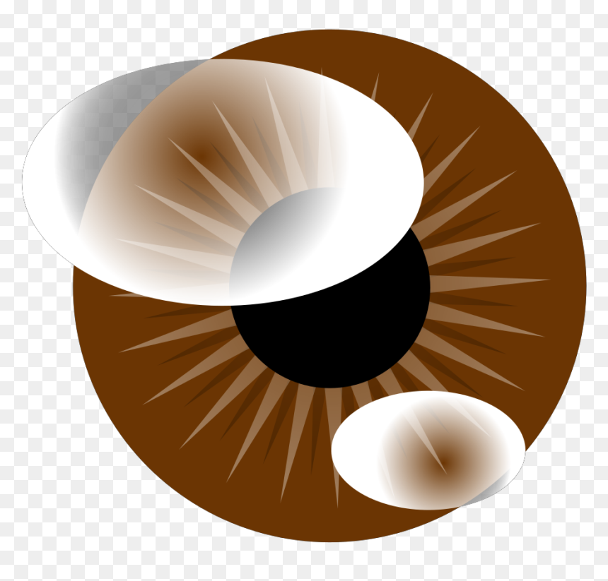 Ciambella, HD Png Download - brown eye png
