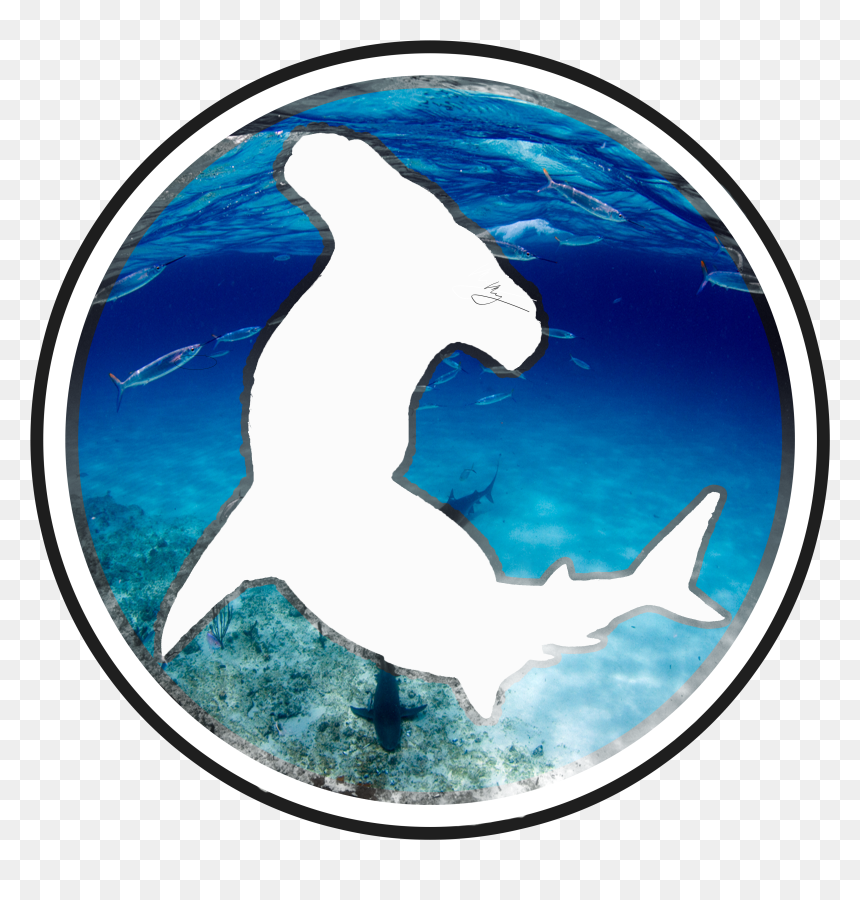 Transparent Shark - Shotokan Tiger, HD Png Download - hammerhead shark png