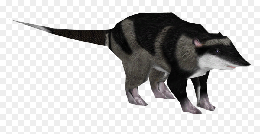 American Bison , Png Download - Giant Anteater, Transparent Png - opossum png