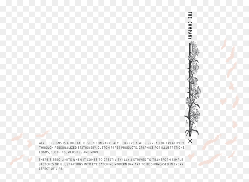 Company - Paper, HD Png Download - simple scroll designs png