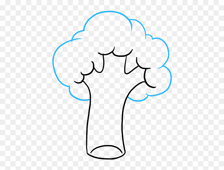 How To Draw Broccoli - Broccoli Drawinh, HD Png Download - brocoli png