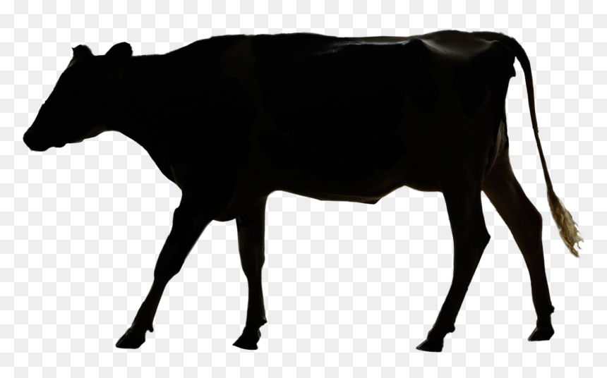 Dairy Cow, HD Png Download - farm animals png