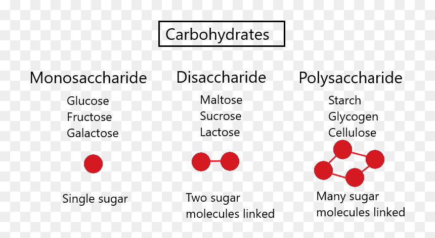 Biological Molecules Of Monosaccharide, HD Png Download - molecules png