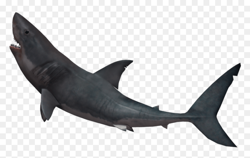 Hammerhead Shark Png - Shark Biting White Background, Transparent Png - hammerhead shark png