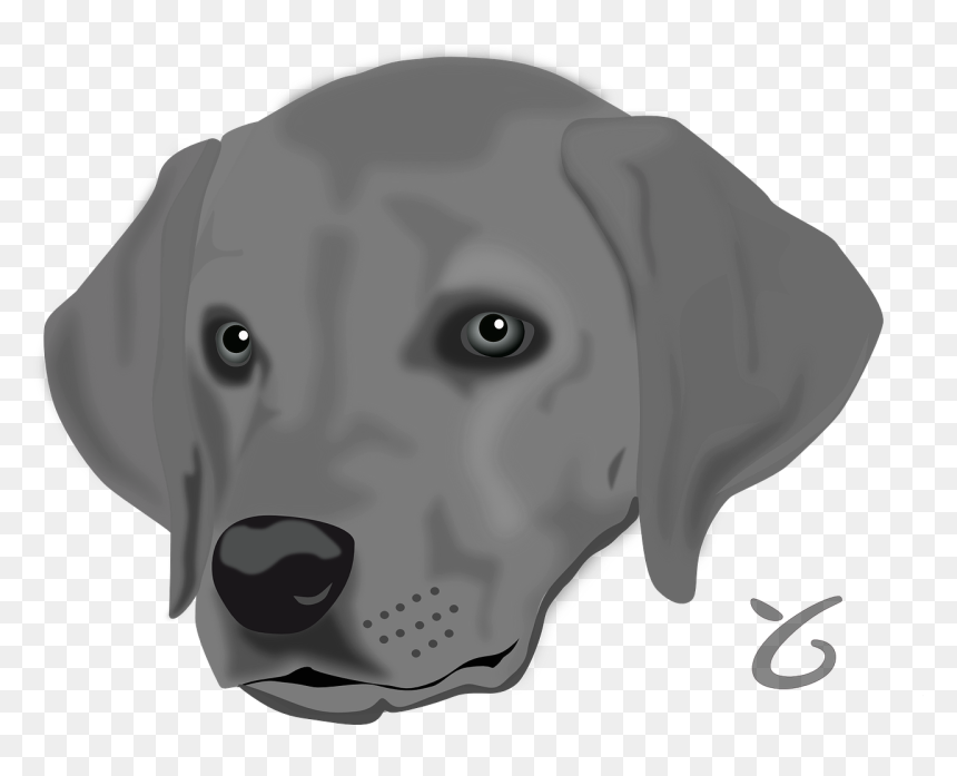 Dog Head Clip Art, HD Png Download - dalmatian png