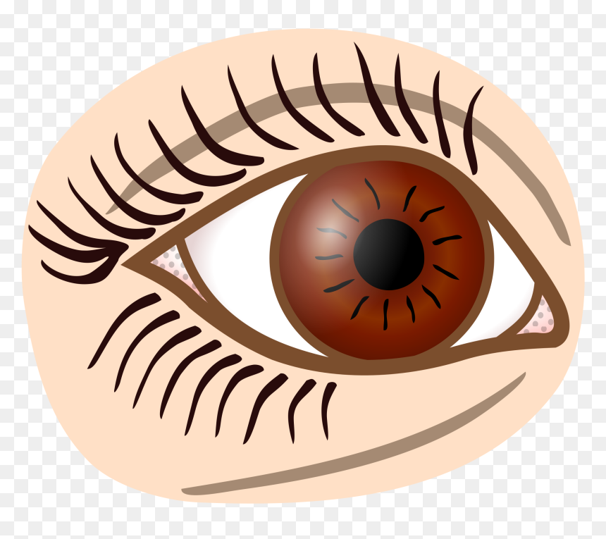 Coloured Clip Arts, HD Png Download - brown eye png