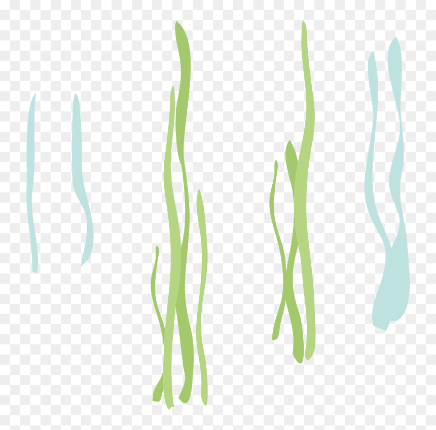 Calligraphy , Png Download - Calligraphy, Transparent Png - reeds png