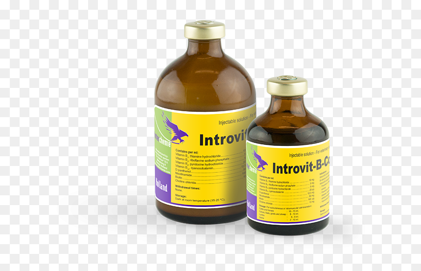 Introvit B Complex - B Complex Injection For Horse, HD Png Download - prescription bottle png
