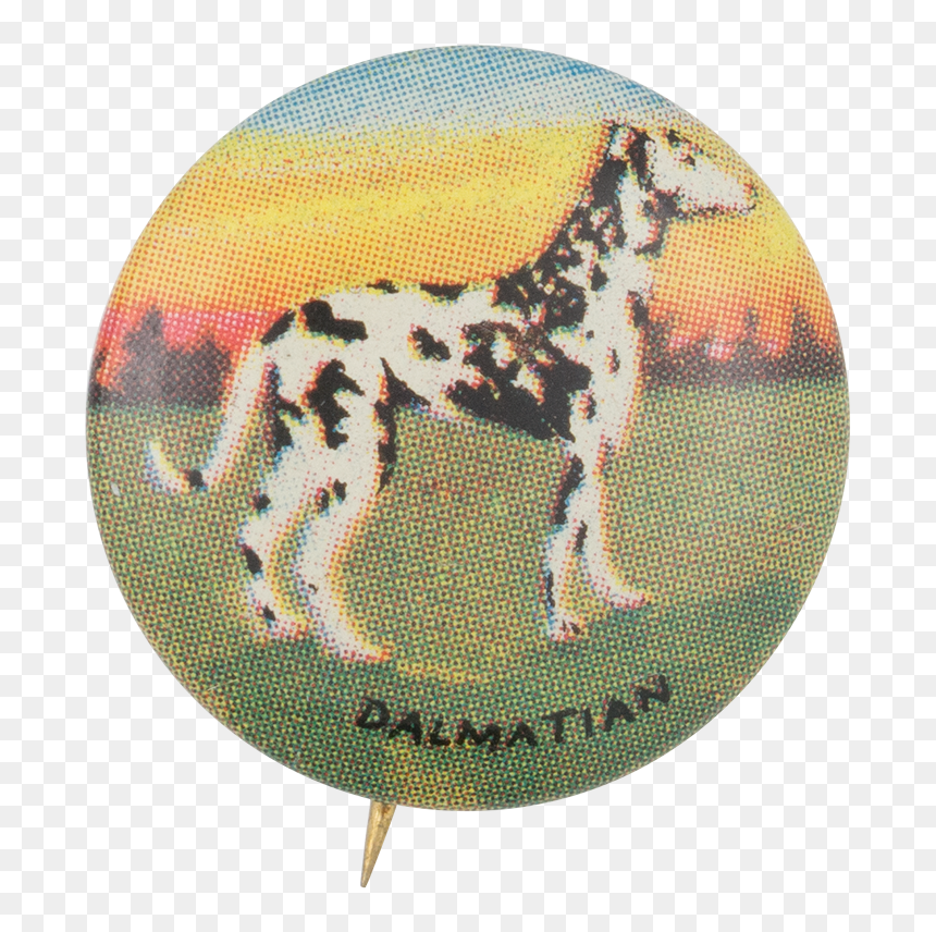 Dalmatian Art Button Museum - Alaskan Malamute, HD Png Download - dalmatian png