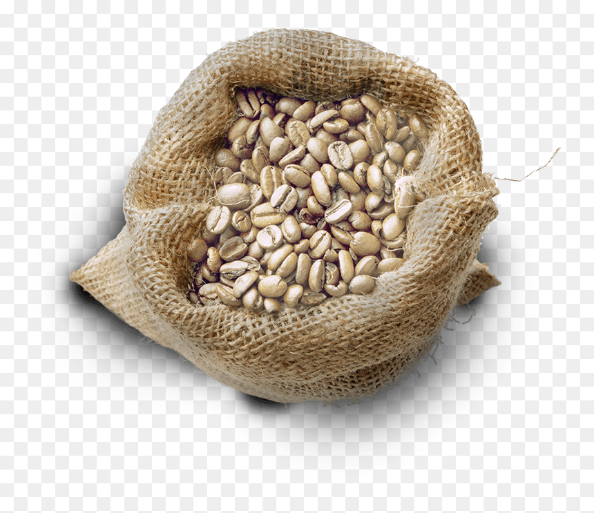 Between The Time That The Green Beans Are Delivered - Bag Coffee Green Png, Transparent Png - green bean png