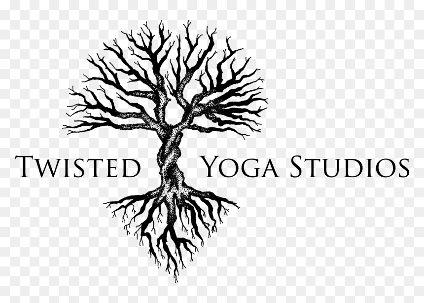 Twisted Tree Logo, HD Png Download - aerial tree png