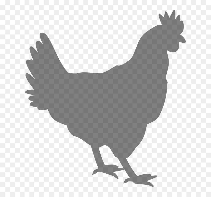 Silhouette Chicken Outline, HD Png Download - rooster silhouette png