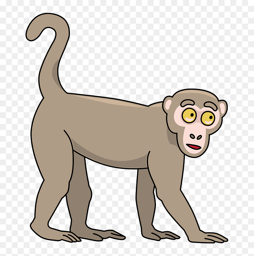 Monkey Clipart, HD Png Download - funny monkey png
