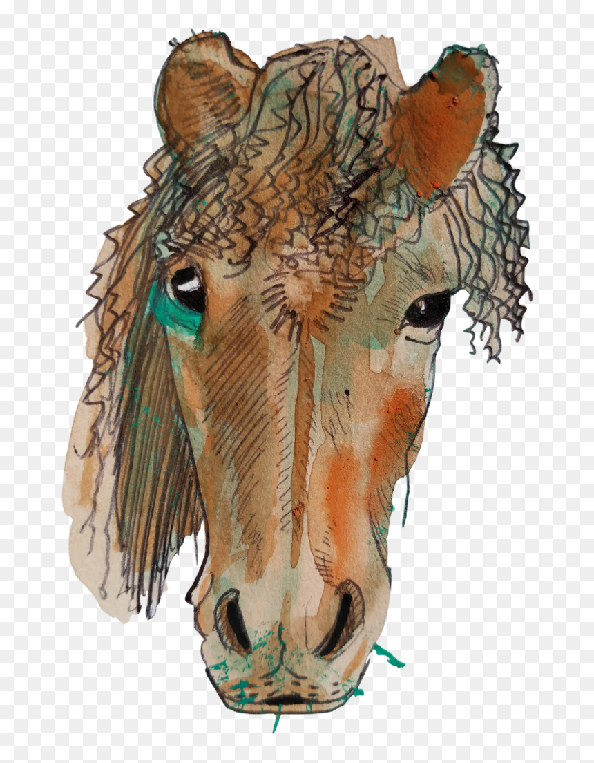 Horseface , Png Download - Sorrel, Transparent Png - horse face png