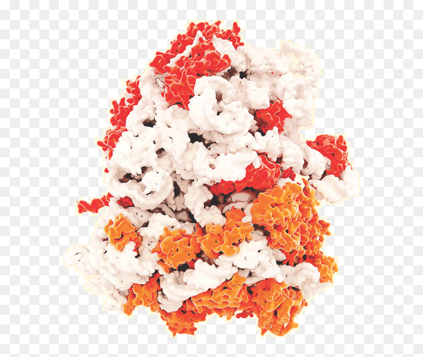 Første Liv På Jorden, HD Png Download - molecules png