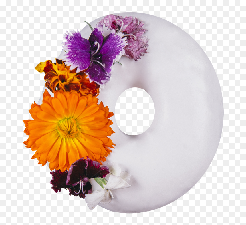 Transparent Vanilla Flower Png - Barberton Daisy, Png Download - vanilla flower png