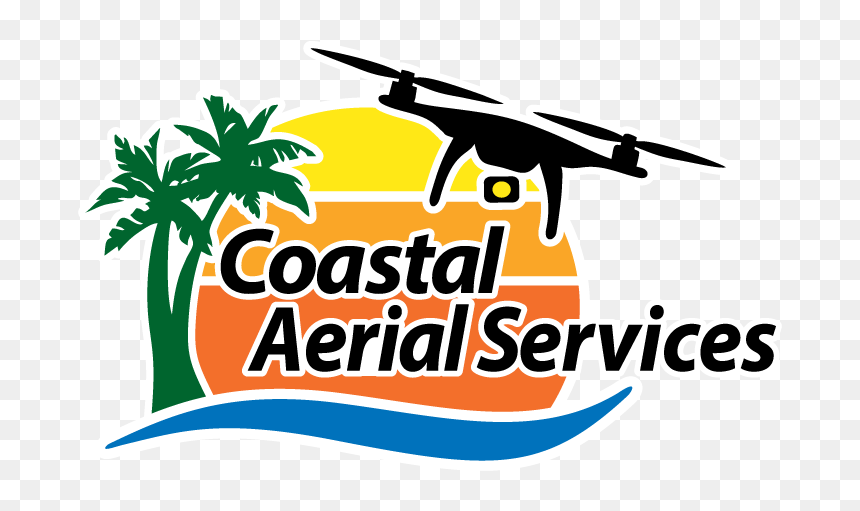 Malibu, HD Png Download - aerial tree png