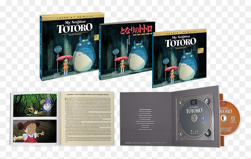 Mntsp Beautyshot Revised 72dpi - My Neighbor Totoro, HD Png Download - totoro icon png