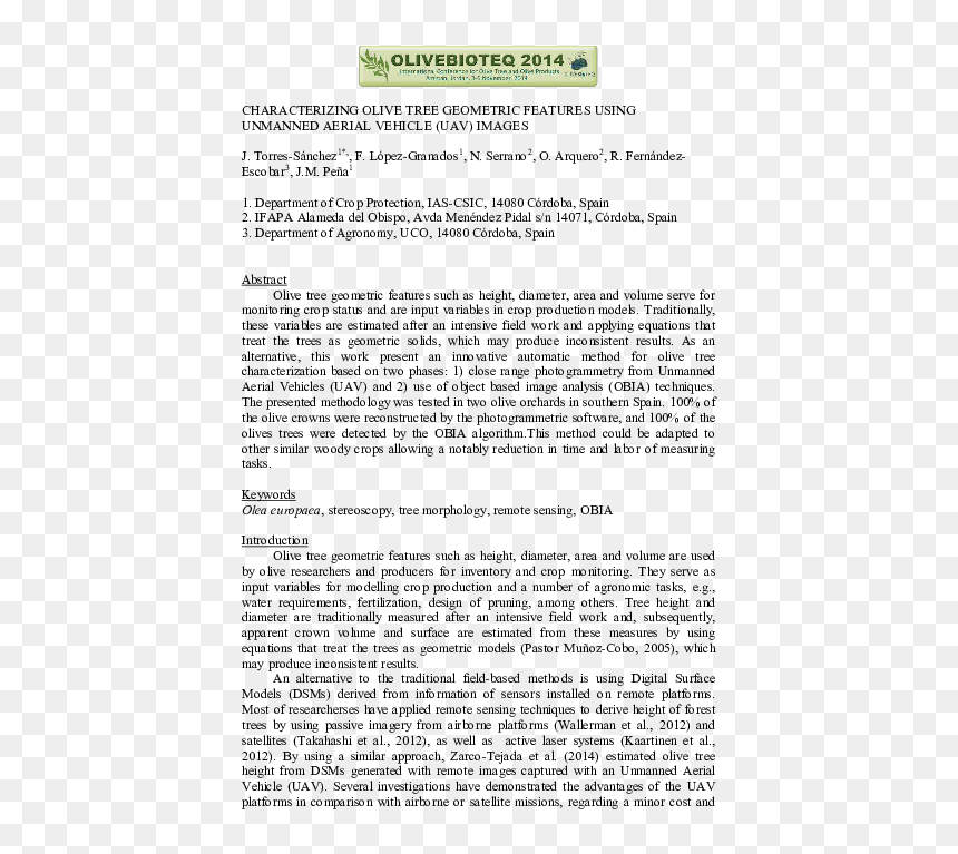Untitled, Illustration 14, In The Book Foirades / Fizzles, HD Png Download - aerial tree png