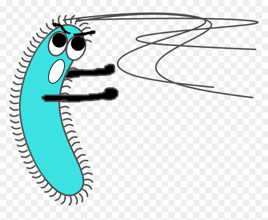 Bacteria Png, Transparent Png - germs png