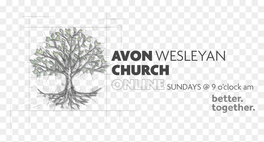 American Pitch Pine, HD Png Download - avon png