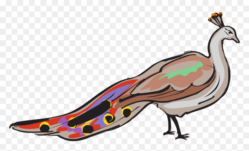 Peafowl, HD Png Download - peacock tail png