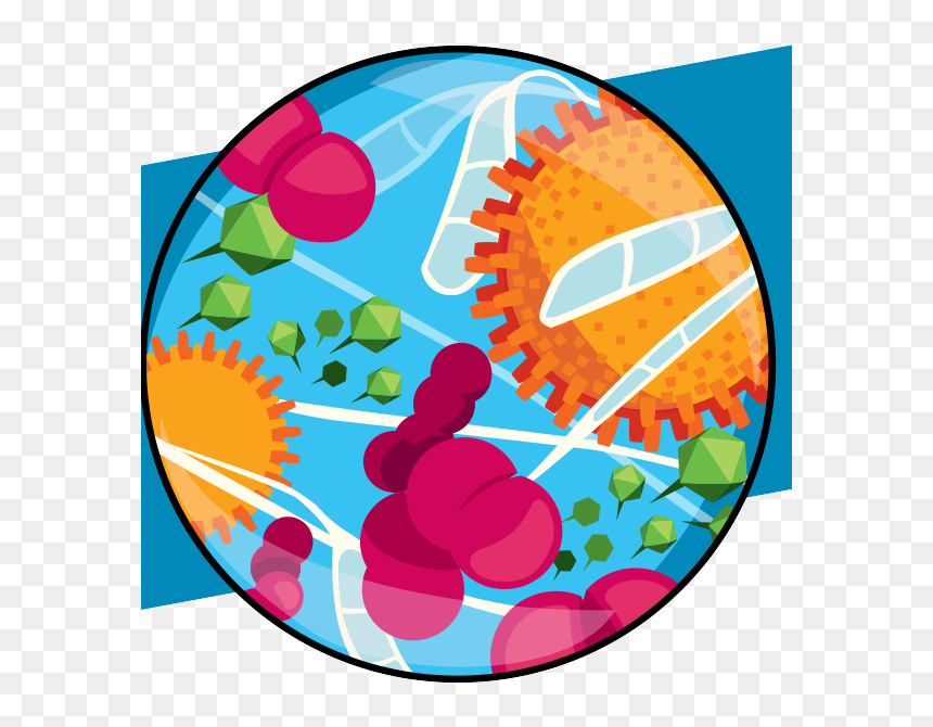 Let The Germs Begin, HD Png Download - germs png