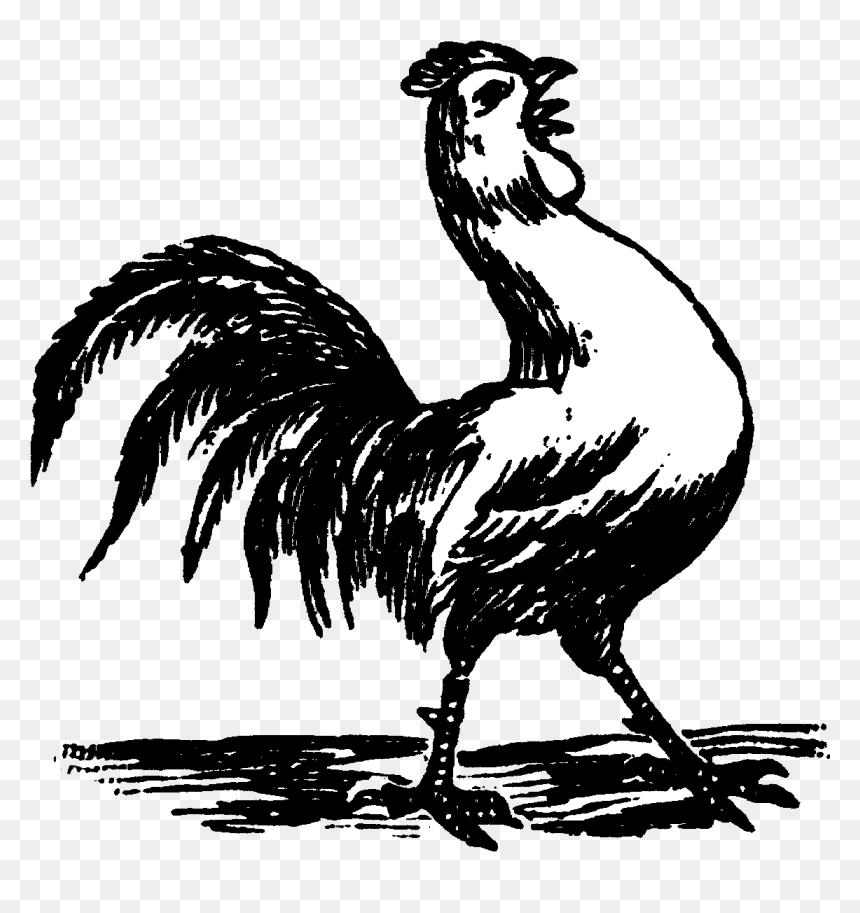 Rooster Crowing Rooster, HD Png Download - rooster silhouette png
