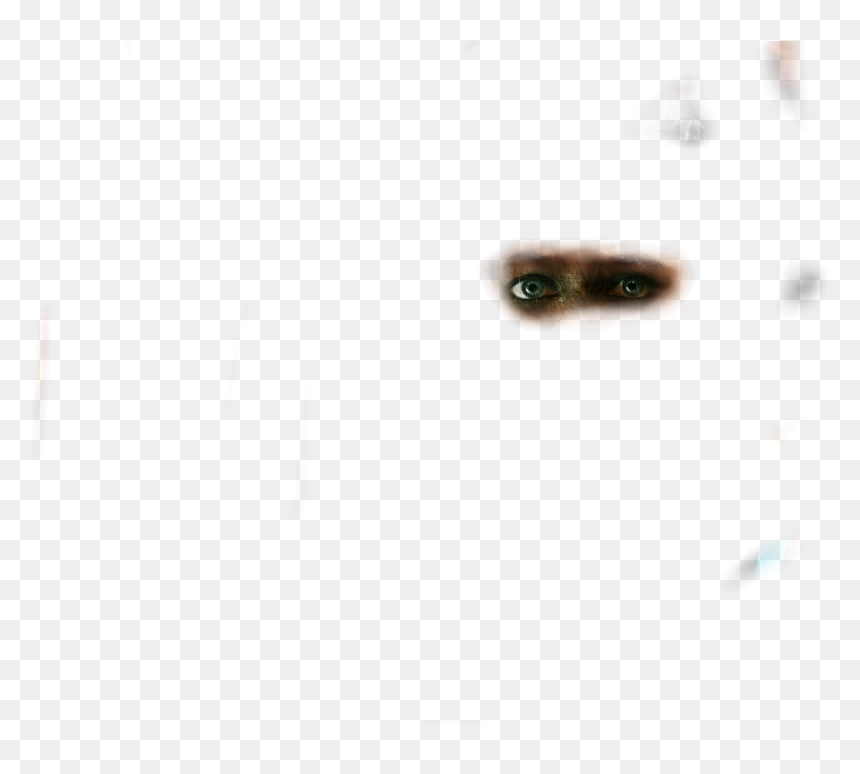 All Png And Background - Macro Photography, Transparent Png - all png background