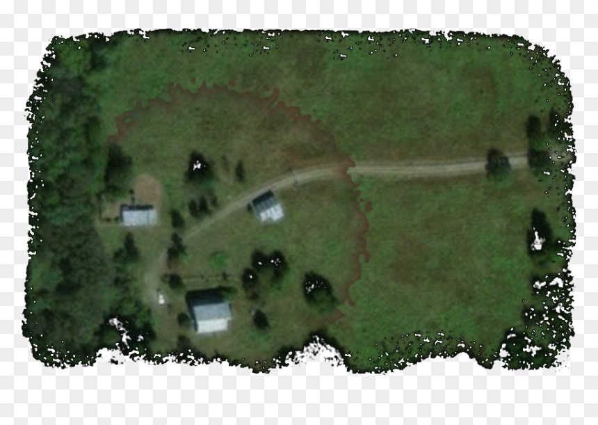 Aerial View Of Canecreek Studio - Tree, HD Png Download - aerial tree png