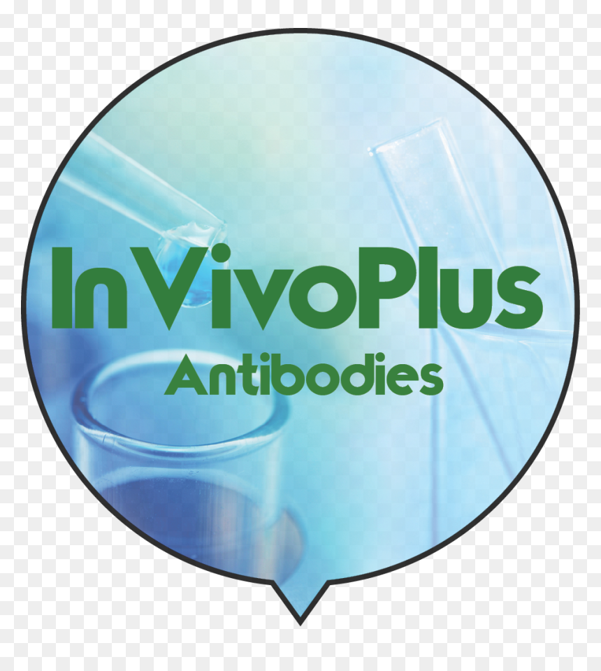 Bio X Cell Most Popular Antibodies Are Also Available - Circle, HD Png Download - most popular png