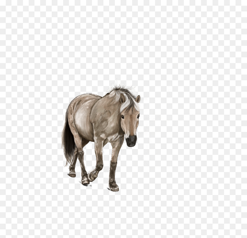 Horses And Coffee Quotes, HD Png Download - horse face png
