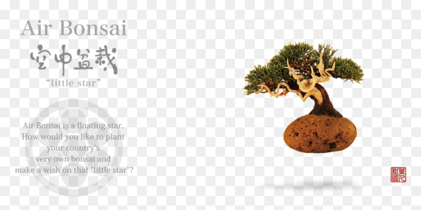 Bonsai, HD Png Download - aerial tree png