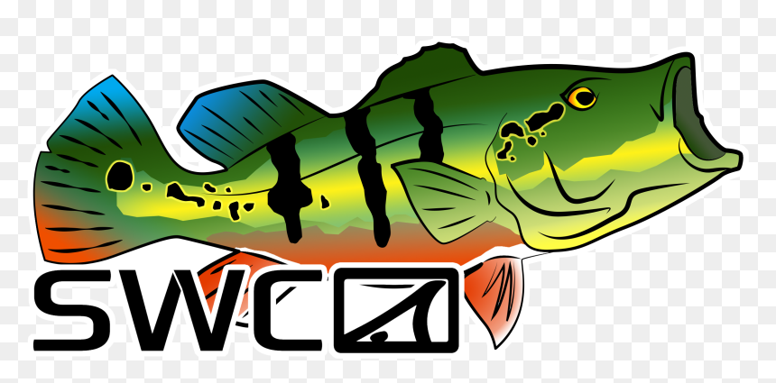 Mirror Peacock Decal, HD Png Download - peacock tail png