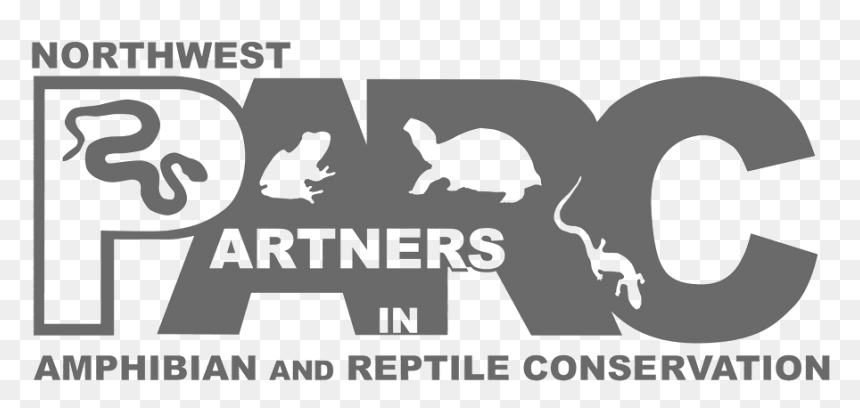 Doctor Snake Logo Png , Png Download - Southeast Partners In Amphibian And Reptile Conservation, Transparent Png - doctor snake logo png