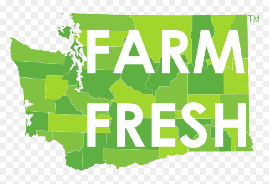 Graphic Design, HD Png Download - state farm png