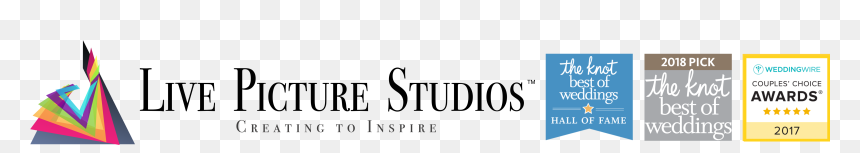 Calligraphy, HD Png Download - weddingwire logo png
