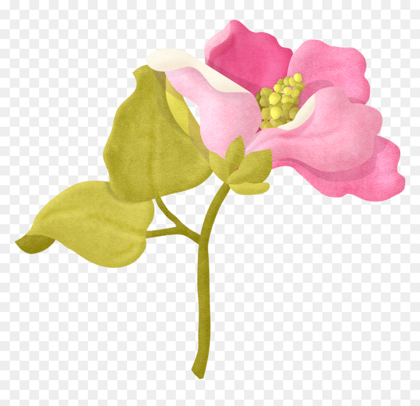 Bougainvillea Drawing Flower Transparent Png Clipart - Album From Laughter To Memories, Png Download - jasmine flower images png