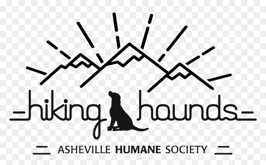 One Of Our Most Popular Volunteer Activities Is Our - Calligraphy, HD Png Download - most popular png
