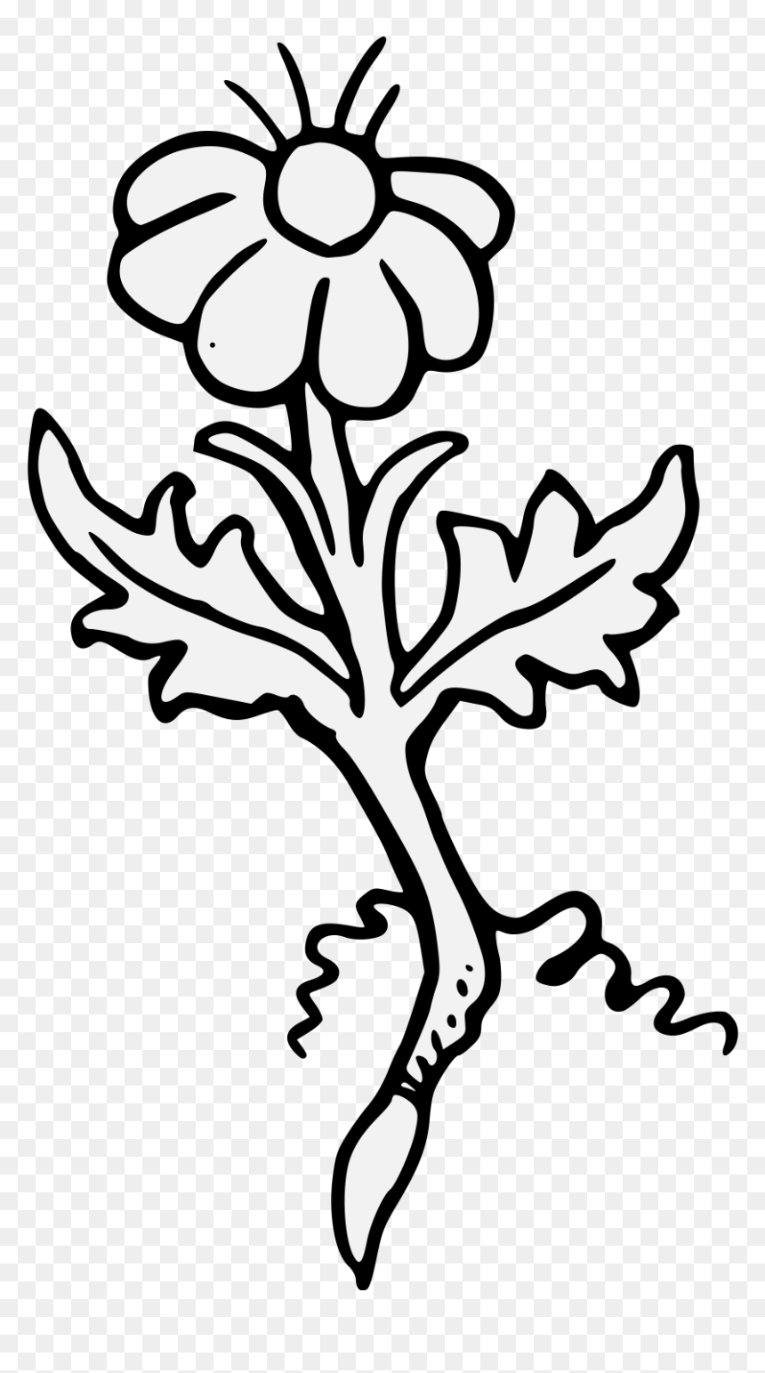 Clip Art, HD Png Download - jasmine flower images png