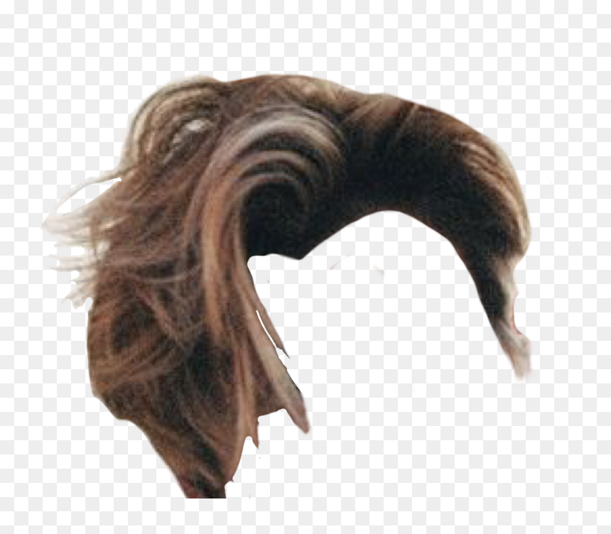 Niche Memes Hair Png, Transparent Png - hairstyle png boy