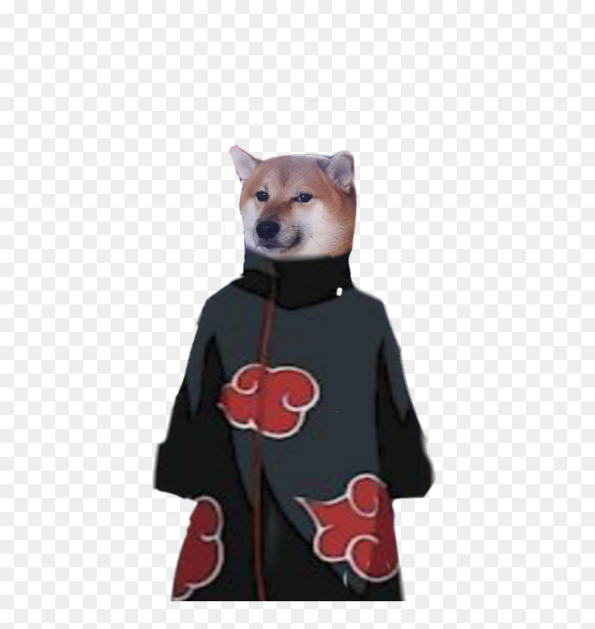 Shiba Inu, HD Png Download - mlg doge png