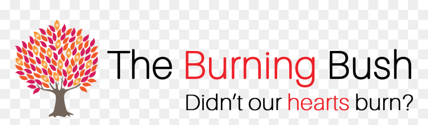 Burning Letter A - Graphic Design, HD Png Download - burning letter a png