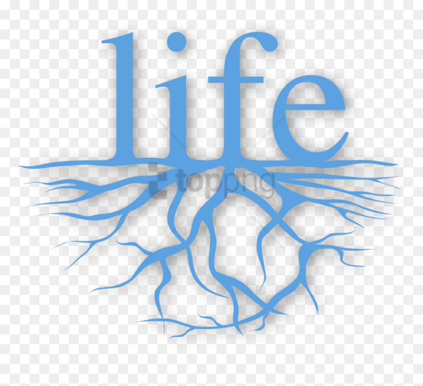 Free Png Love My Life I Am Beautiful Png Image With - Portable Network Graphics, Transparent Png - beautiful png images