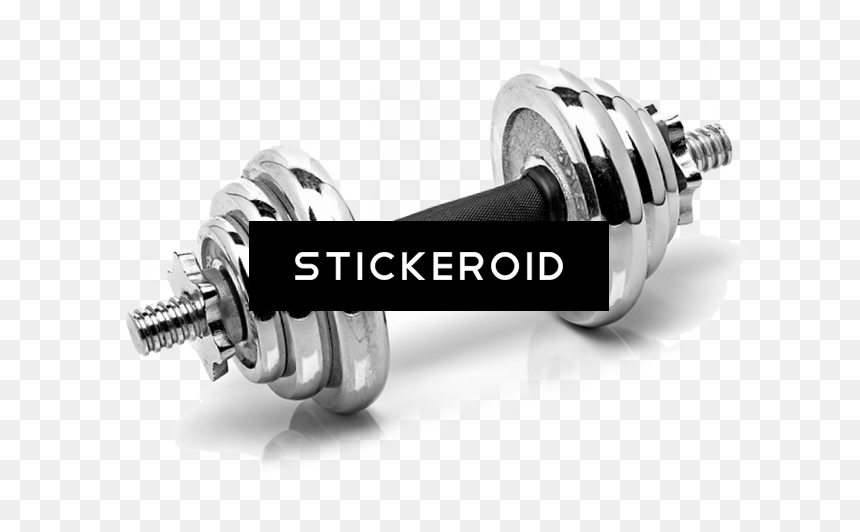 Gym , Png Download - Barbell, Transparent Png - gym png images