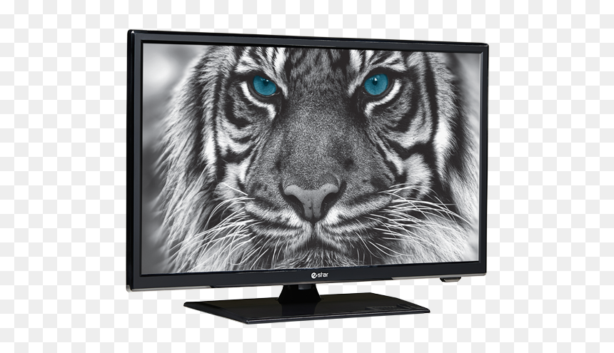 Estar 22d4t2, HD Png Download - led tv icon png