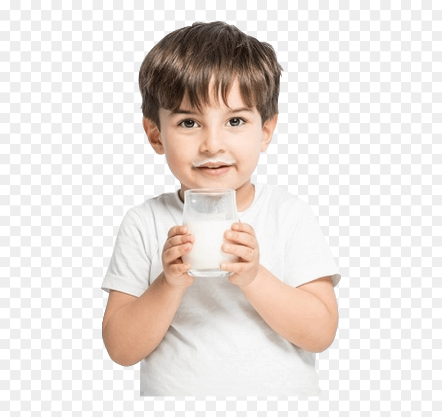 He Is Drinking Milk, HD Png Download - indian cow images png